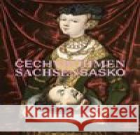 Čechy – Sasko. Jak blízko, tak daleko Olga Kostková 9788070357132 Národní galerie v Praze