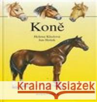 Koně Jan Hošek 9788071511373 Aventinum