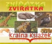 Zvířátka v safari Zdeněk Roller 9788071511915 Aventinum