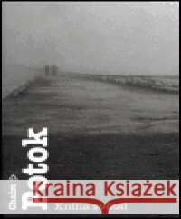 Kniha světel Chaim Potok 9788072036165