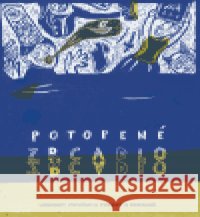 Potopené zrcadlo Dagmar Urbánková 9788072036707