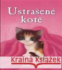 Ustrašené kotě Holly Webb 9788072115020