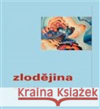 Zlodějina Zuzana Brabcová 9788072274123