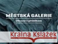 Městská galerie - Obrazy s příběhem Martin Reiner 9788072278732