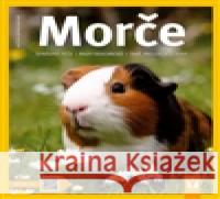 Morče Katrin Behrendová 9788072369454