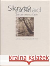 Skrytý poklad Zdeněk Hron 9788072602001 Prostor