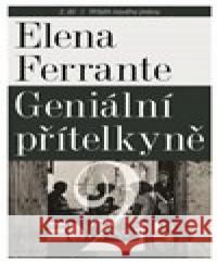 Geniální přítelkyně 2 - Příběh nového jména Elena Ferrante 9788072604531