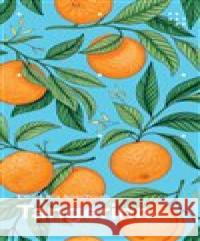 Tangerinn Emanuela Anechoum 9788072606375