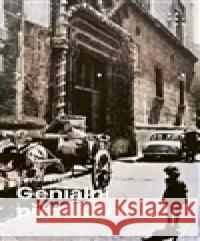 Geniální přítelkyně 4 - Příběh ztracené holčičky Elena Ferrante 9788072606597