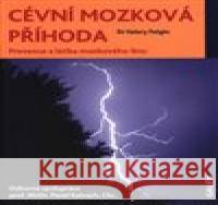 Cévní mozková příhoda Valery Feigin 9788072624287