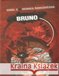Bruno v hlavě Xindl X 9788072626625 Galén