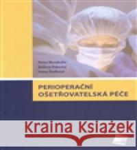 Perioperační ošetřovatelská péče Peter Wendsche 9788072628940 GalÃ©n