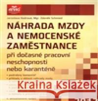 Náhrada mzdy a nemocenské zaměstnance Zdeněk Schmied 9788072637195 Anag