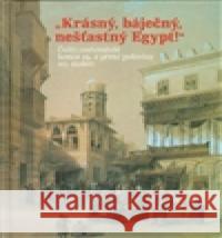 Krásný, báječný a nešťastný Egypt Hana Navrátilová 9788072774296