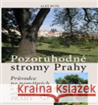 Pozoruhodné stromy Prahy Aleš Rudl 9788072775354