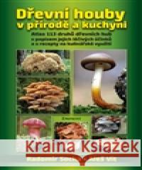 Dřevní houby v přírodě a kuchyni Aleš Vít 9788072814800