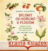 Bylinky od kořenů k plodům Radka Svatošová 9788072815883 Eminent