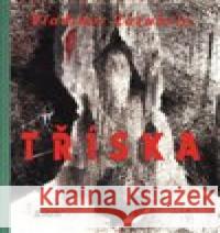 Tříska Ivan Vladimirov 9788072872633