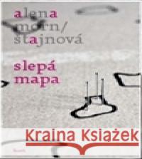 Slepá mapa Alena MornÅ¡tajnovÃ¡ 9788072948871 Host