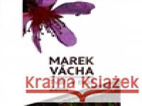 Tváří v tvář Zemi Marek Orko Vácha 9788072952120 Cesta