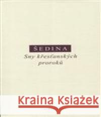 Sny křesťanských proroků Miroslav Šedina 9788072985098