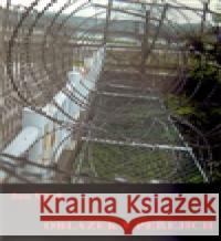 Oblázek v peřejích Jan Vítek 9788073041373