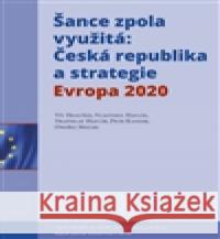 Šance zpola využitá Ondřej Mocek 9788073253851