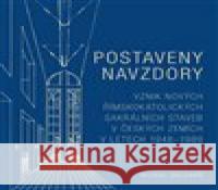 Postaveny navzdory Michal Sklenář 9788073255602