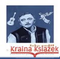 Jako anděl s polámanými křídly Pavel Hošek 9788073256074