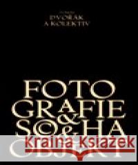 Fotografie, socha, objekt Tomáš Dvořák 9788073314668 Akademie múzických umění