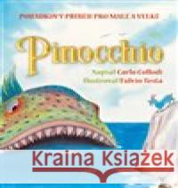 Pinocchio Fulvio Testa 9788073357856