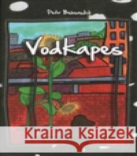 Vodkapes Katja Grösser 9788073401504