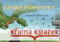 České pohádky na motivy Boženy Němcové Zuzana Krutá 9788073537456