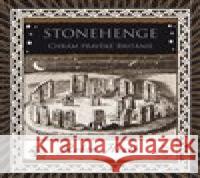 Stonehenge. Chrám pravěké Británie Robin Heath 9788073639624 Máj