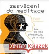 Zasvěcení do meditace Rachel Goettmannová 9788073641429 Barrister & Principal