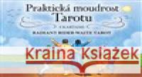 Praktická moudrost Tarotu Arwen Lynch 9788073706128 Synergie