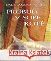 Dalajlamova kočka - Probuď v sobě kotě David Michie 9788073706210