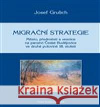 Migrační strategie Josef Grulich 9788073947033 Nová tiskárna Pelhřimov