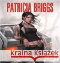 Spálená mrazem Patricia Briggs 9788073982409