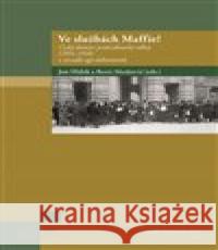 Ve službách Maffie? Boris Moskovič 9788074226366 NLN - Nakladatelství Lidové noviny