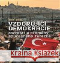 Vzdorující demokracie Erik Siegl 9788074227479