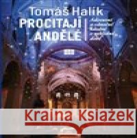 Procitají andělé Tomáš Halík 9788074229046