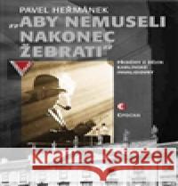 Aby nemuseli nakonec žebrati Pavel Heřmánek 9788074252525