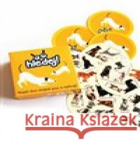 Hledej! Petr Sýkora 9788074289750