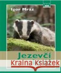 Jezevčí král Igor Mráz 9788074331312