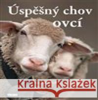 Úspěšný chov ovcí Kai Haus 9788074332579