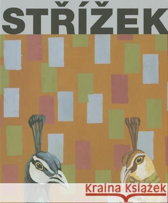 Antonín Strízek: Paintings Strízek, Antonín 9788074370649 KANT