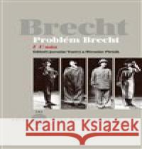 Problém Brecht I - U nás Jaroslav Vostrý 9788074373558