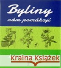 Byliny nám pomáhají Ida Rystonová 9788074390951 Vodnář