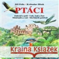 Ptáci Květoslav Hísek 9788074420146